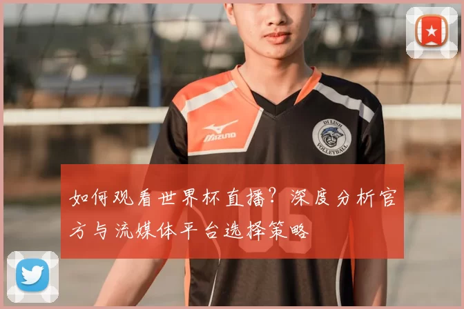 如何观看世界杯直播?深度分析官方与流媒体平台选择策略