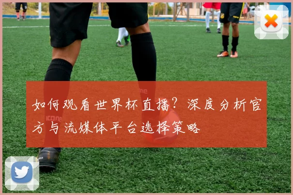 如何观看世界杯直播?深度分析官方与流媒体平台选择策略