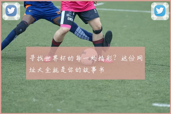 寻找世界杯的每一处精彩?这份网址大全就是你的故事书