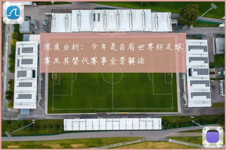深度分析:今年是否有世界杯足球赛及其替代赛事全景解读