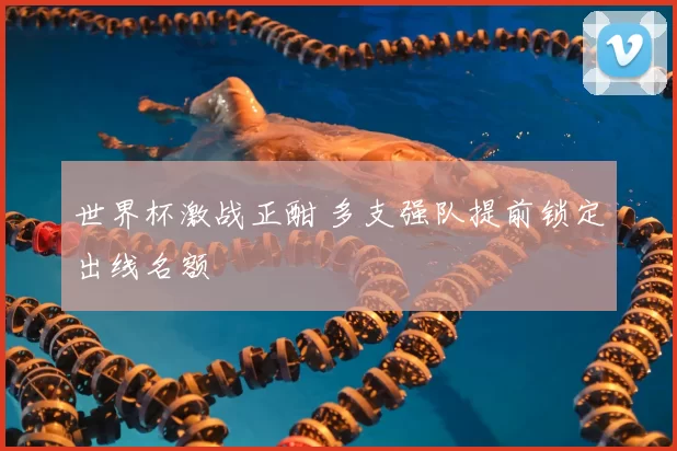 世界杯激战正酣 多支强队提前锁定出线名额