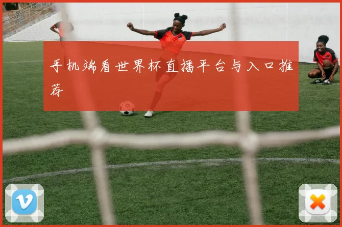 手机端看世界杯直播平台与入口推荐
