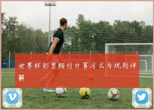 世界杯彩票赔付计算方式与规则详解