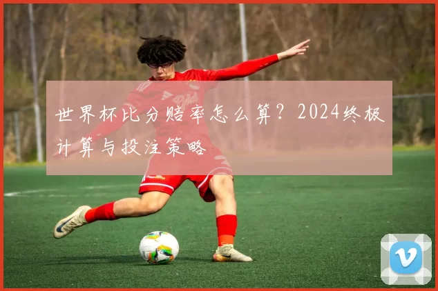 世界杯比分赔率怎么算？2024终极计算与投注策略