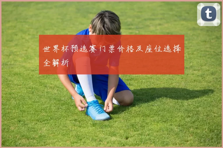 世界杯预选赛门票价格及座位选择全解析