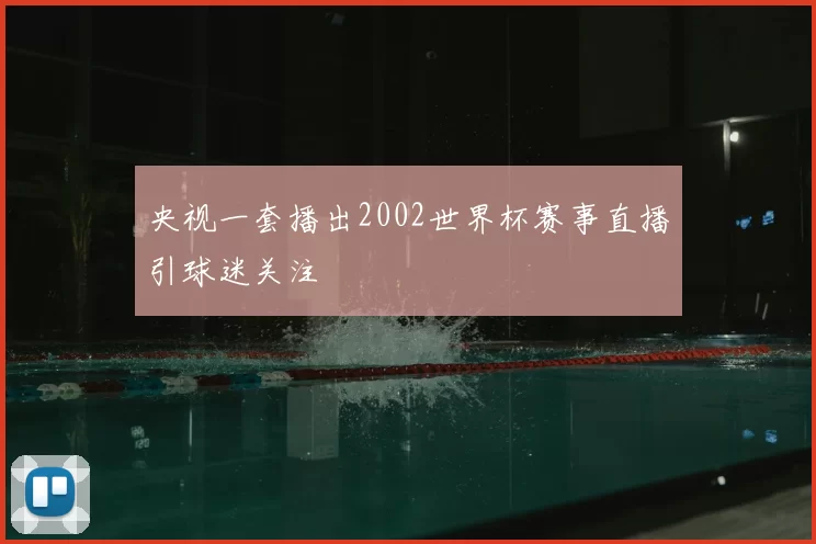 央视一套播出2002世界杯赛事直播引球迷关注