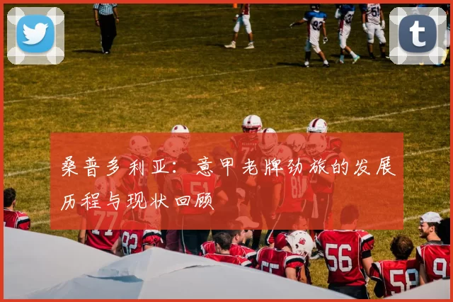 桑普多利亚:意甲老牌劲旅的发展历程与现状回顾