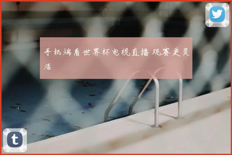 手机端看世界杯电视直播 观赛更灵活